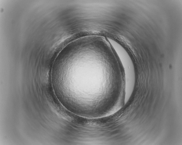 X0000087380596200705041947