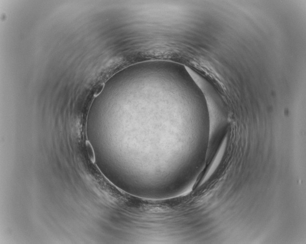 X0000087380597200705041947