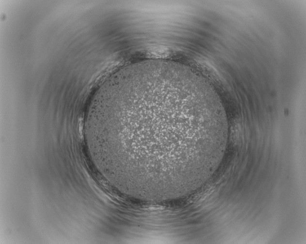 X0000087380598200705041947