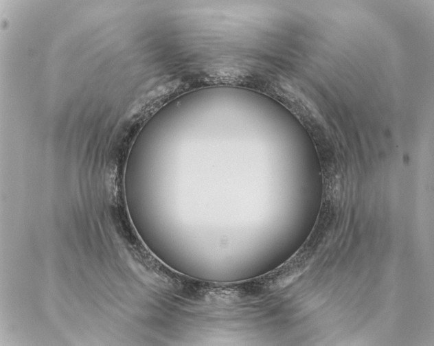 X0000087380599200705041947