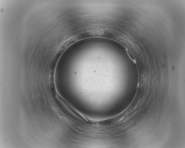 X0000087380600200705041947