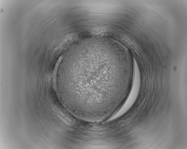 X0000087380601200705041947