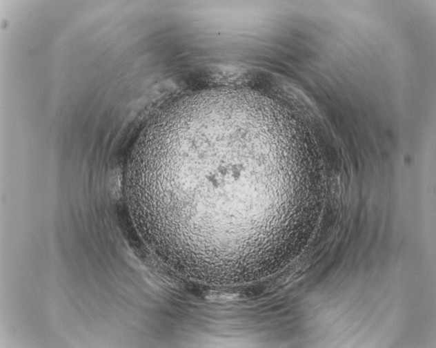 X0000087380602200705041947