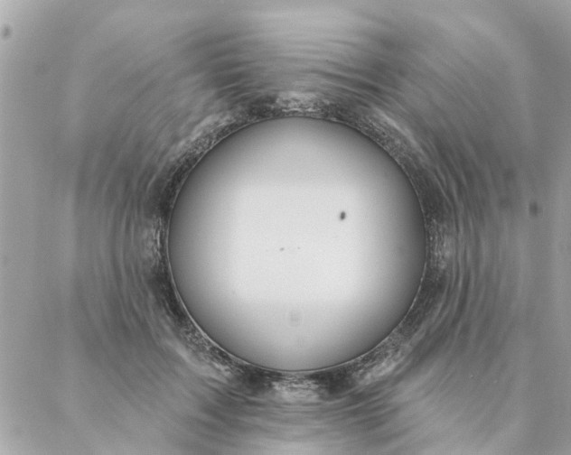 X0000087380603200705041947