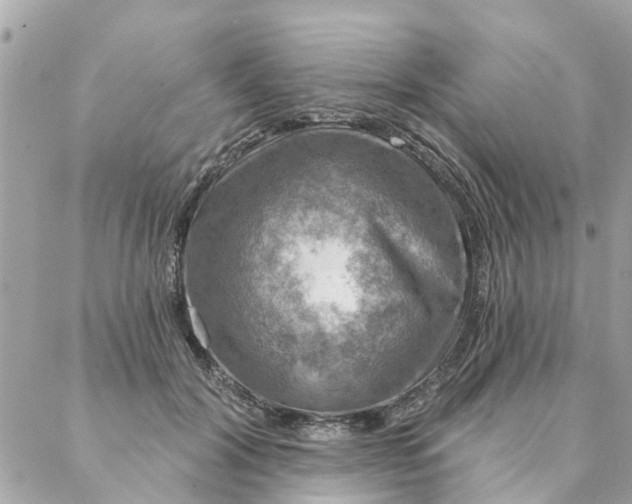 X0000087380604200705041947