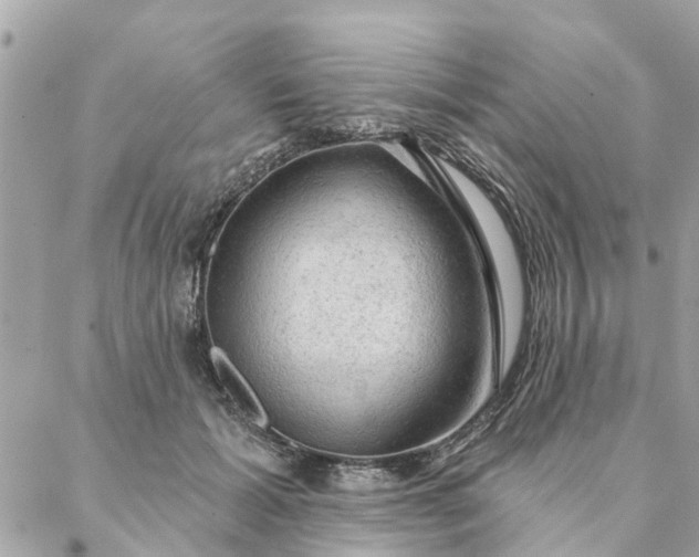 X0000087380605200705041947