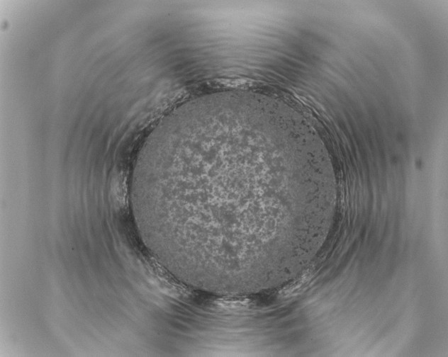 X0000087380606200705041947