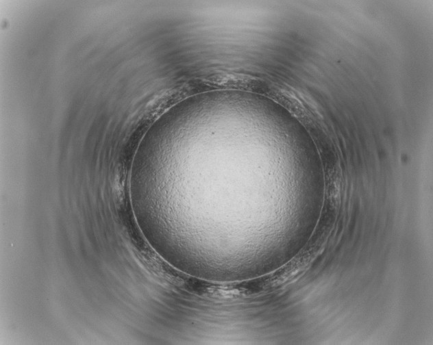 X0000087380607200705041947