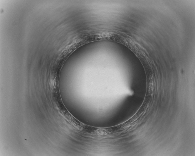 X0000087380608200705041947