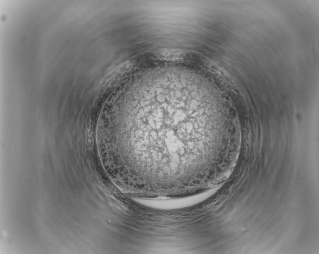 X0000087380609200705041947