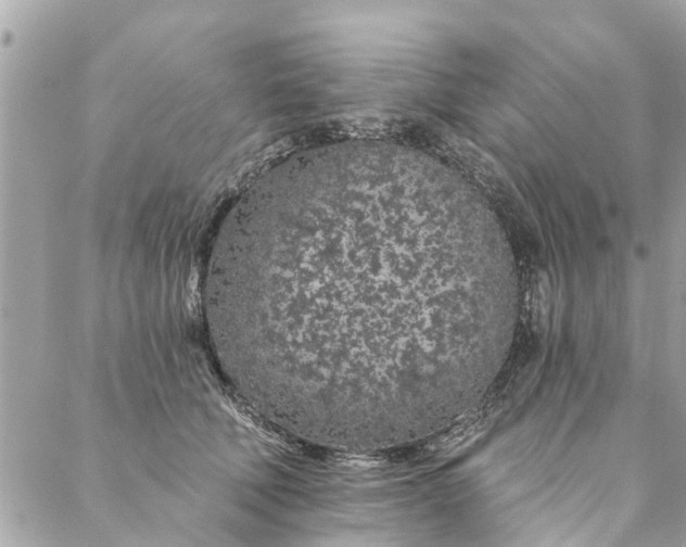 X0000087380610200705041947