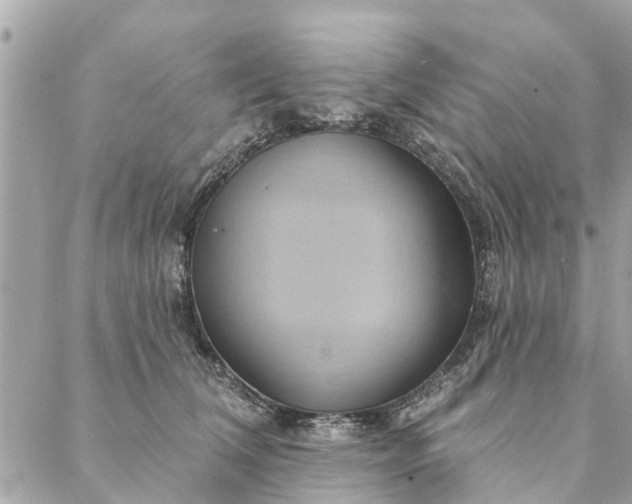 X0000087380612200705041947