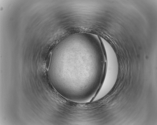 X0000087380613200705041947