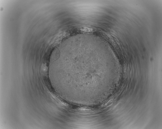 X0000087380614200705041947