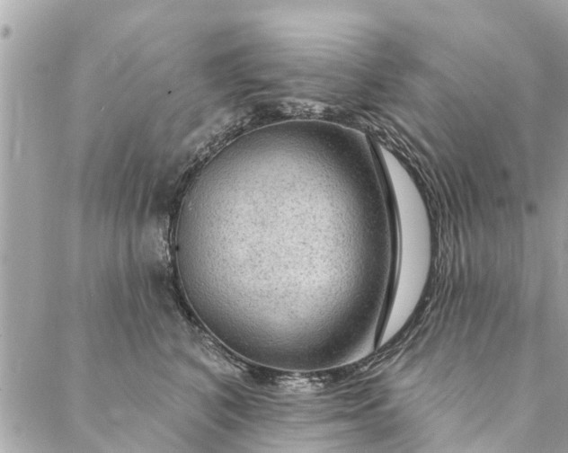 X0000087380616200705041947