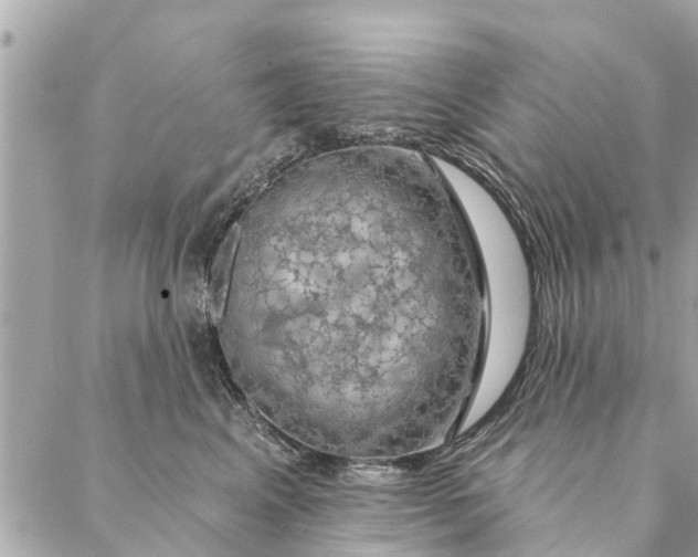 X0000087380617200705041947