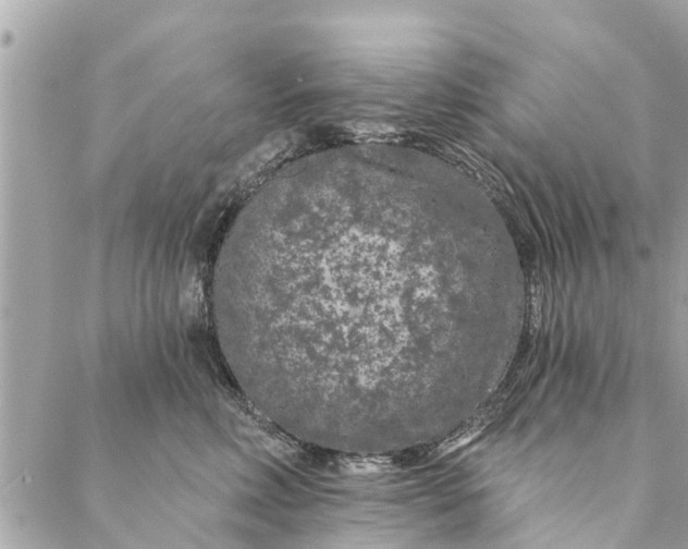 X0000087380618200705041947