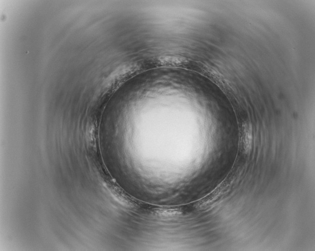 X0000087380619200705041947