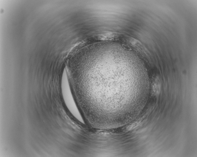 X0000087380620200705041947