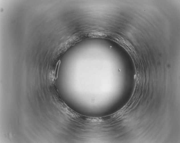 X0000087380621200705041947