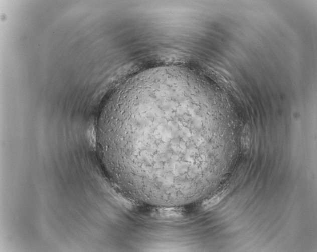 X0000087380622200705041947