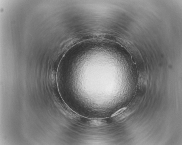 X0000087380623200705041947