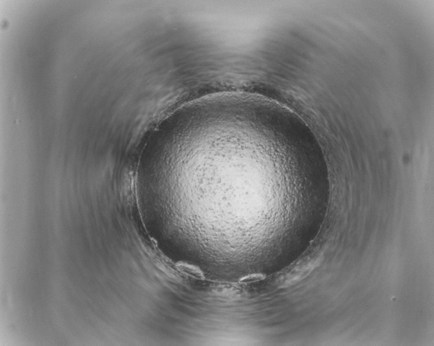 X0000087380624200705041947