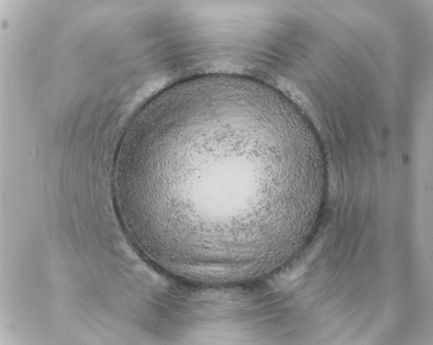 X0000087380625200705041946