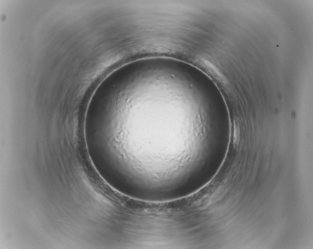 X0000087380627200705041946