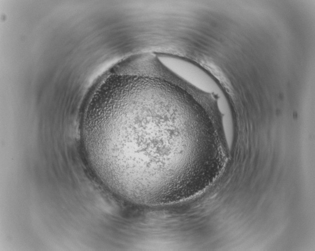 X0000087380628200705041946