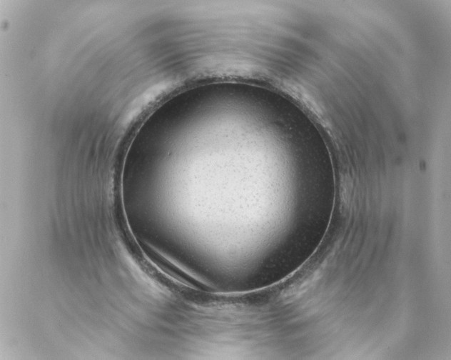 X0000087380629200705041946