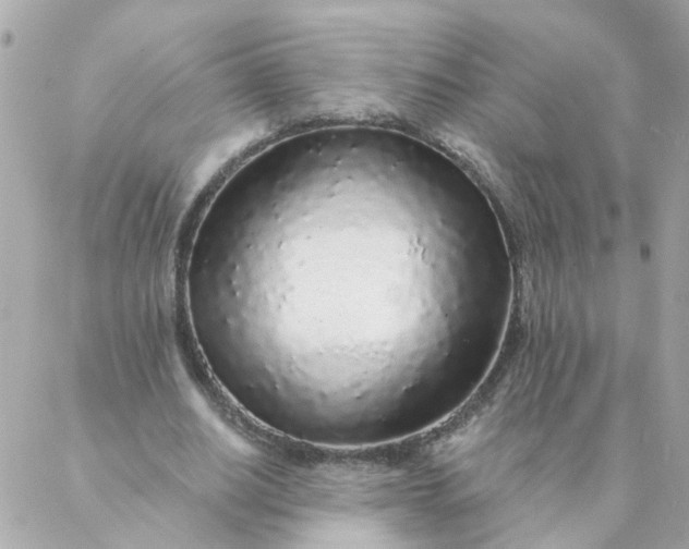 X0000087380630200705041946