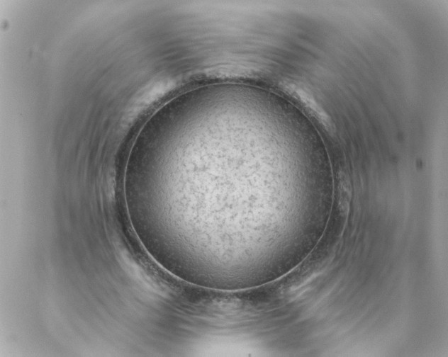 X0000087380631200705041946