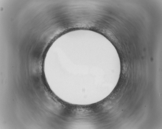 X0000087380632200705041946