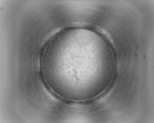 X0000087380633200705041946