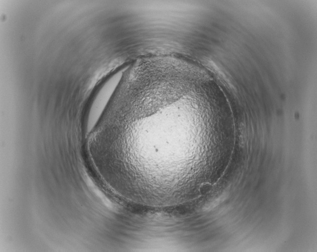 X0000087380634200705041946