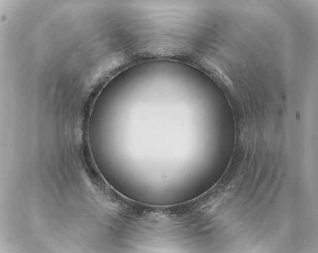 X0000087380635200705041946