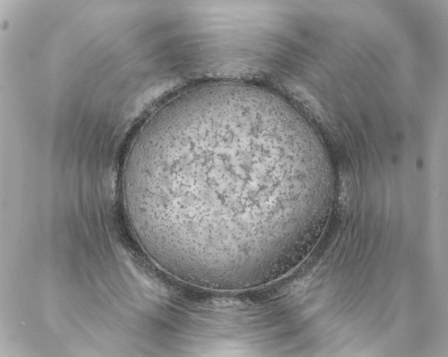 X0000087380636200705041946