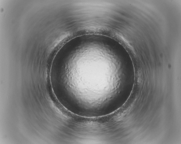 X0000087380637200705041946