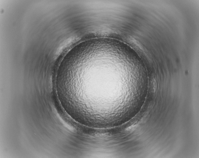 X0000087380638200705041946