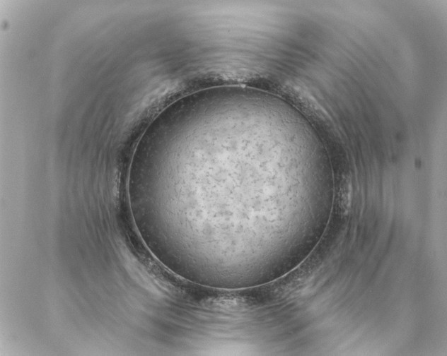 X0000087380639200705041946