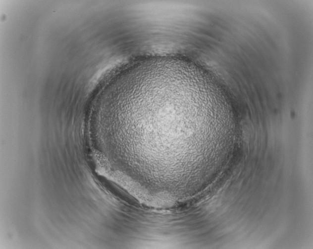 X0000087380640200705041946