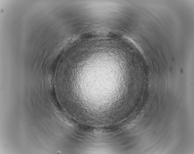 X0000087380641200705041946