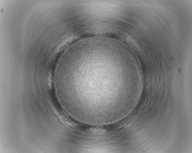 X0000087380644200705041946