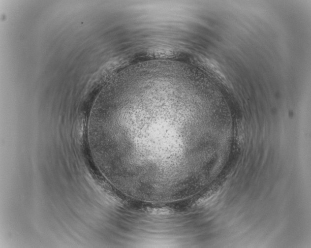 X0000087380645200705041946