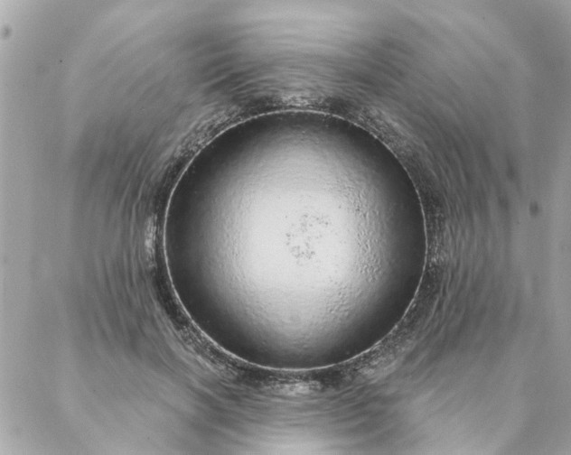 X0000087380646200705041946