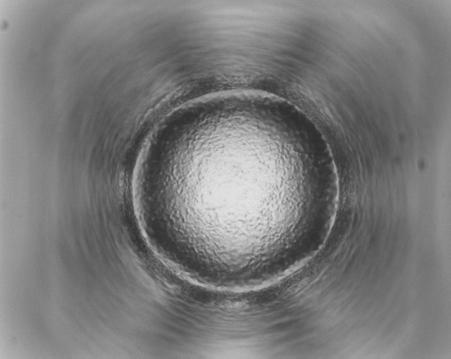 X0000087380647200705041946