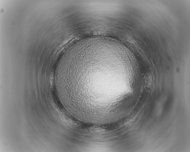 X0000087380648200705041946