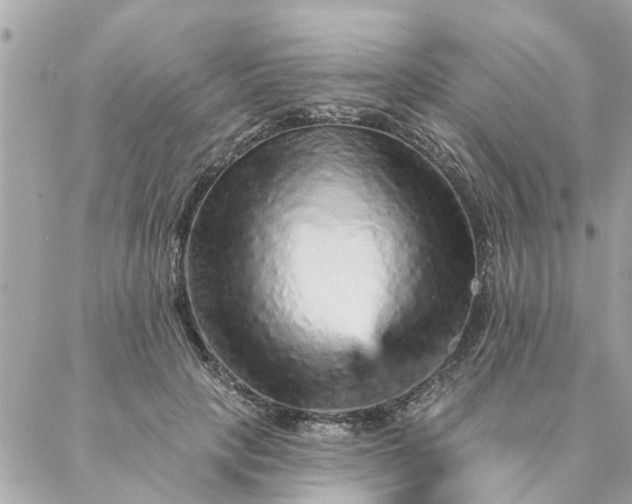 X0000087380649200705041946