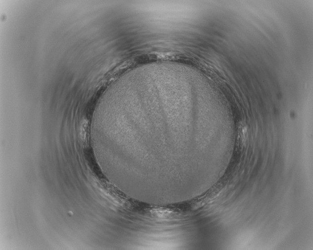 X0000087380650200705041946